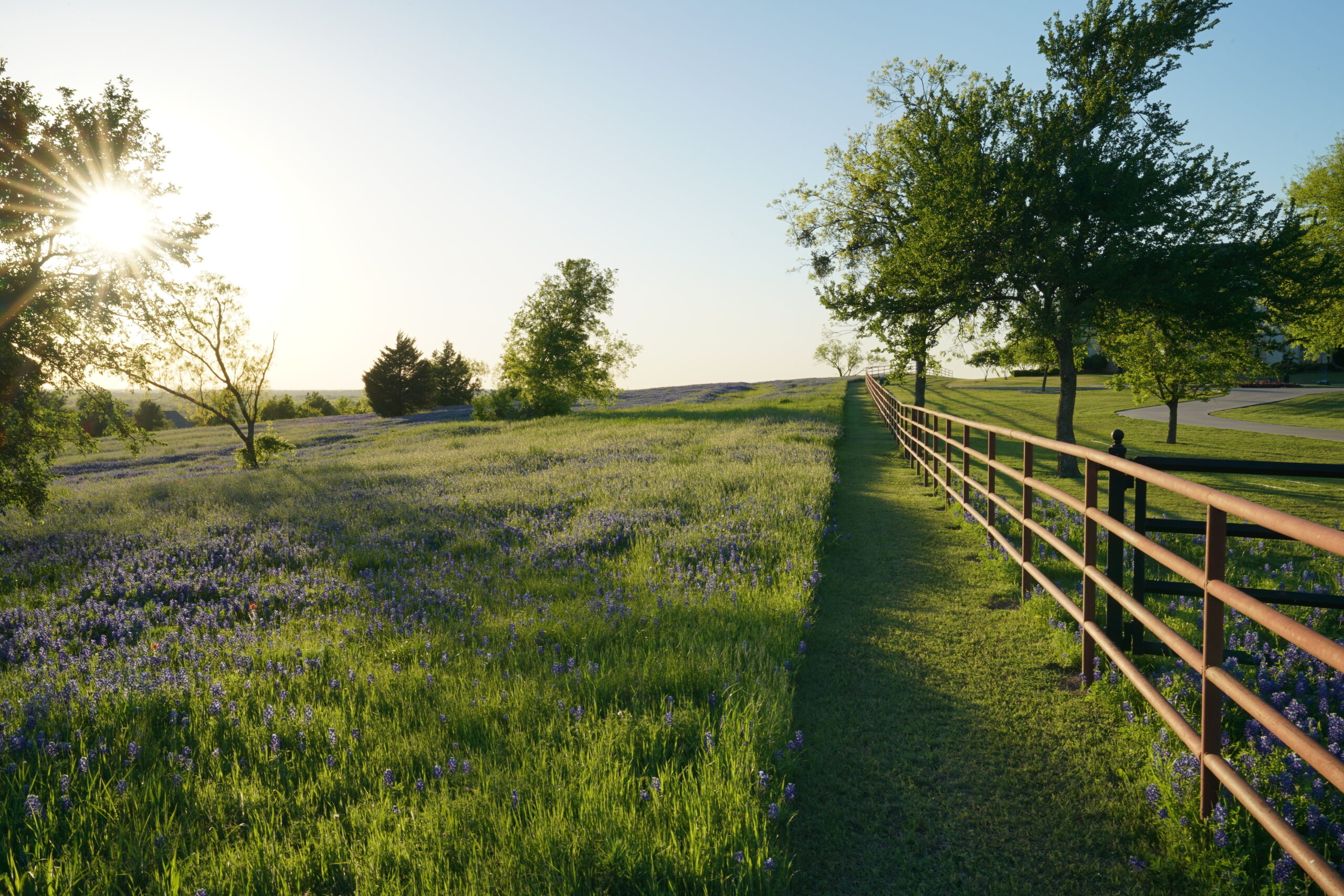 Transforming Texas: Our Land Development Journey